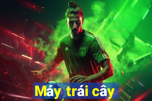 Máy trái cây