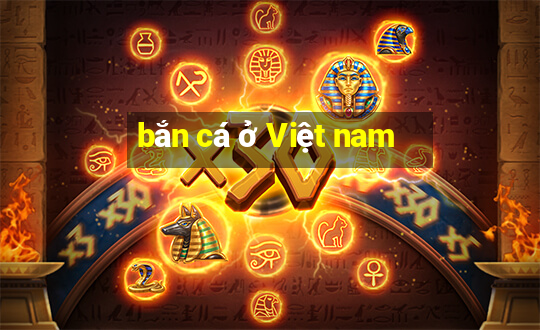 bắn cá ở Việt nam