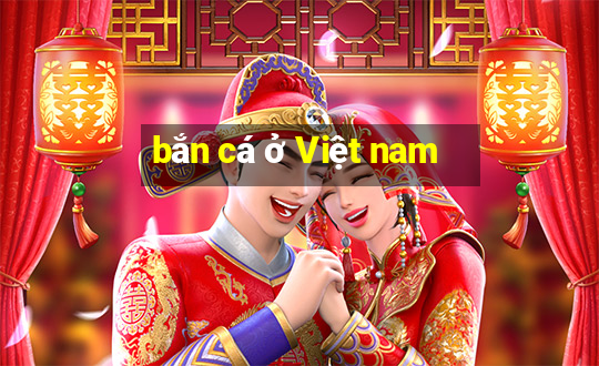 bắn cá ở Việt nam