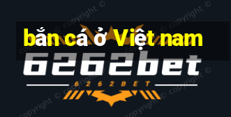 bắn cá ở Việt nam