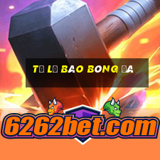 Tỷ lệ Báo bóng đá