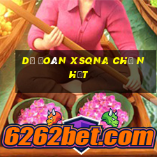 Dự đoán XSQNA Chủ Nhật