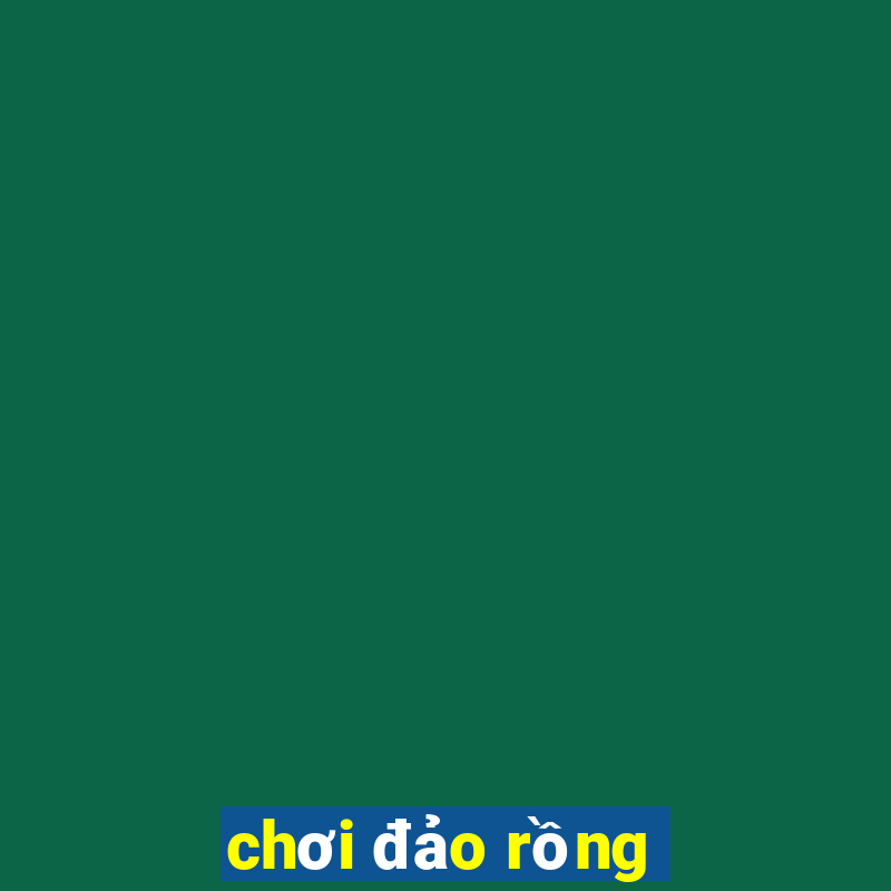 choi dao rong