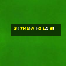 số thuần ảo là gì