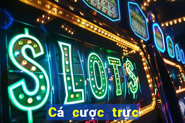 Cá cược trực tuyến tgcasino