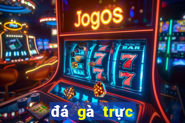 đá gà trực tiếp casino thomo