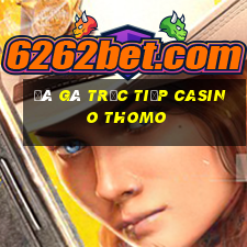 đá gà trực tiếp casino thomo