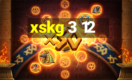 xskg 3 12