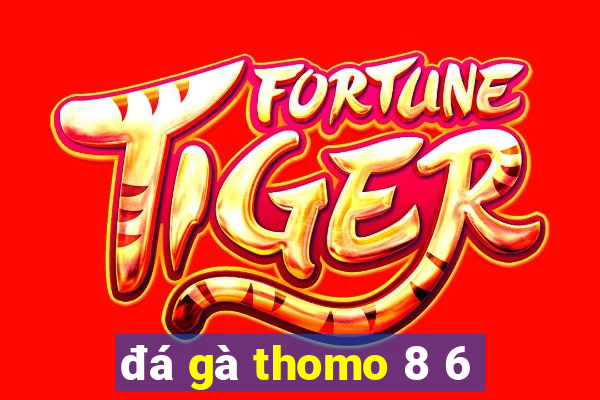 đá gà thomo 8 6