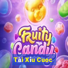 Tài Xỉu Cuoc