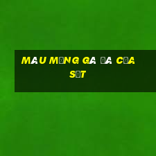 màu mạng gà đá cựa sắt