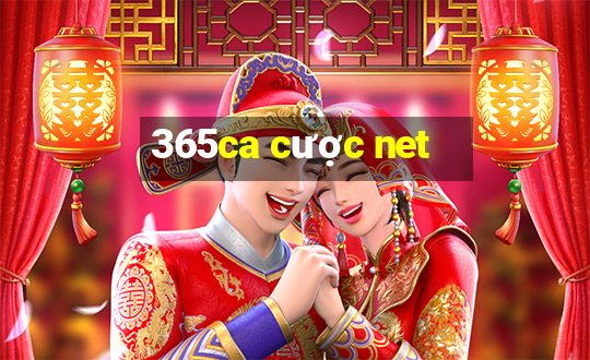 365ca cược net