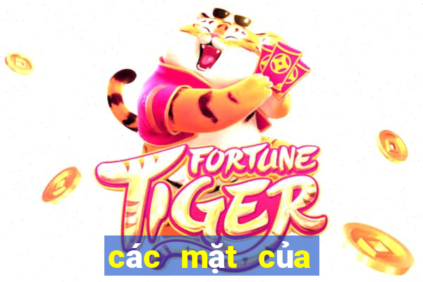 các mặt của bầu cua