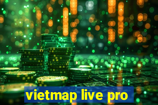 vietmap live pro