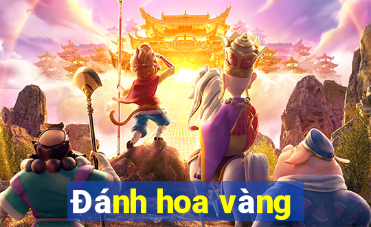 Đánh hoa vàng