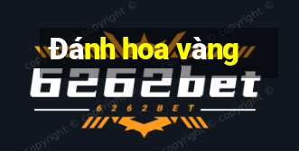 Đánh hoa vàng