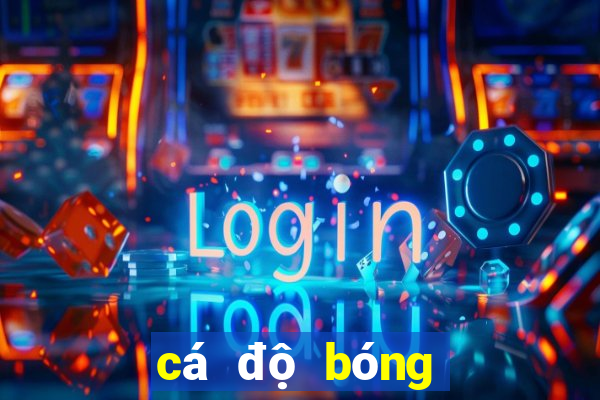 cá độ bóng đá fi881