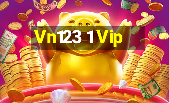 Vn123 1 Vip