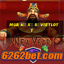 Mua hộ xổ số vietlott