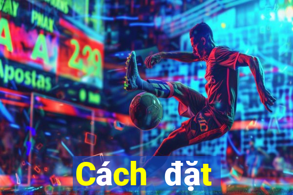 Cách đặt cược XSQT ngày 27