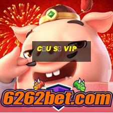 cầu số vip