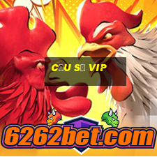 cầu số vip