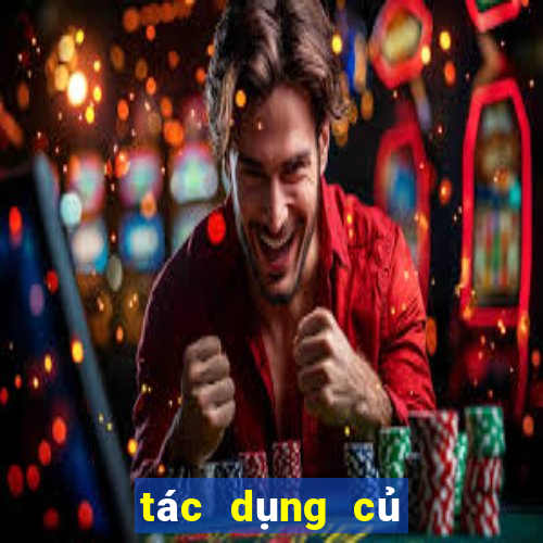 tác dụng củ gai tươi