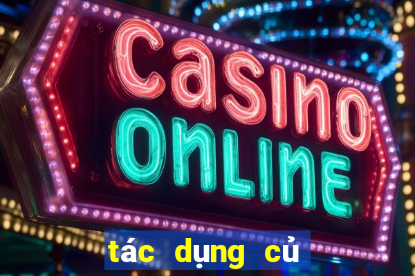 tác dụng củ gai tươi