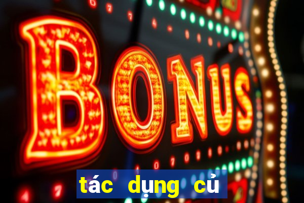 tác dụng củ gai tươi