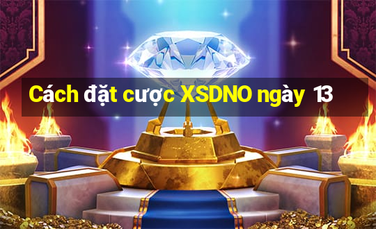 Cách đặt cược XSDNO ngày 13