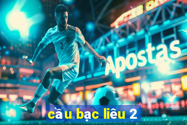 cầu bạc liêu 2