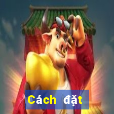 Cách đặt cược XSTT4 ngày 28