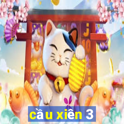 cầu xiên 3