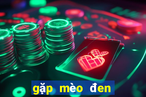 gặp mèo đen đánh con gì