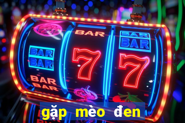 gặp mèo đen đánh con gì