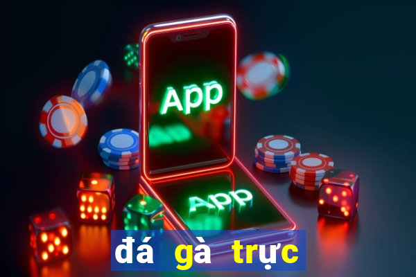 đá gà trực tiếp hôm nay trận 21