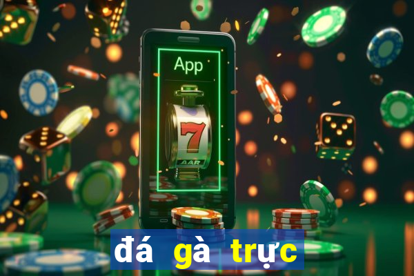 đá gà trực tiếp hôm nay trận 21