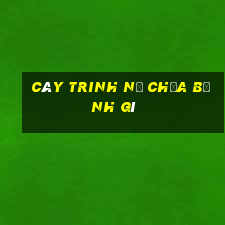 cây trinh nữ chữa bệnh gì