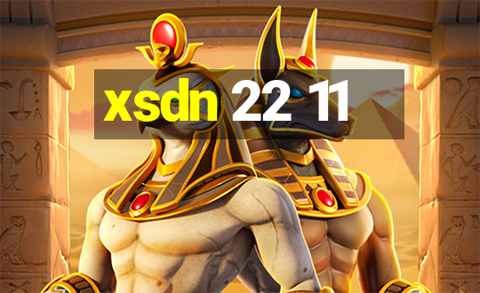 xsdn 22 11