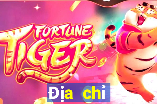 Địa chỉ download của e Times