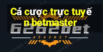 Cá cược trực tuyến betmaster