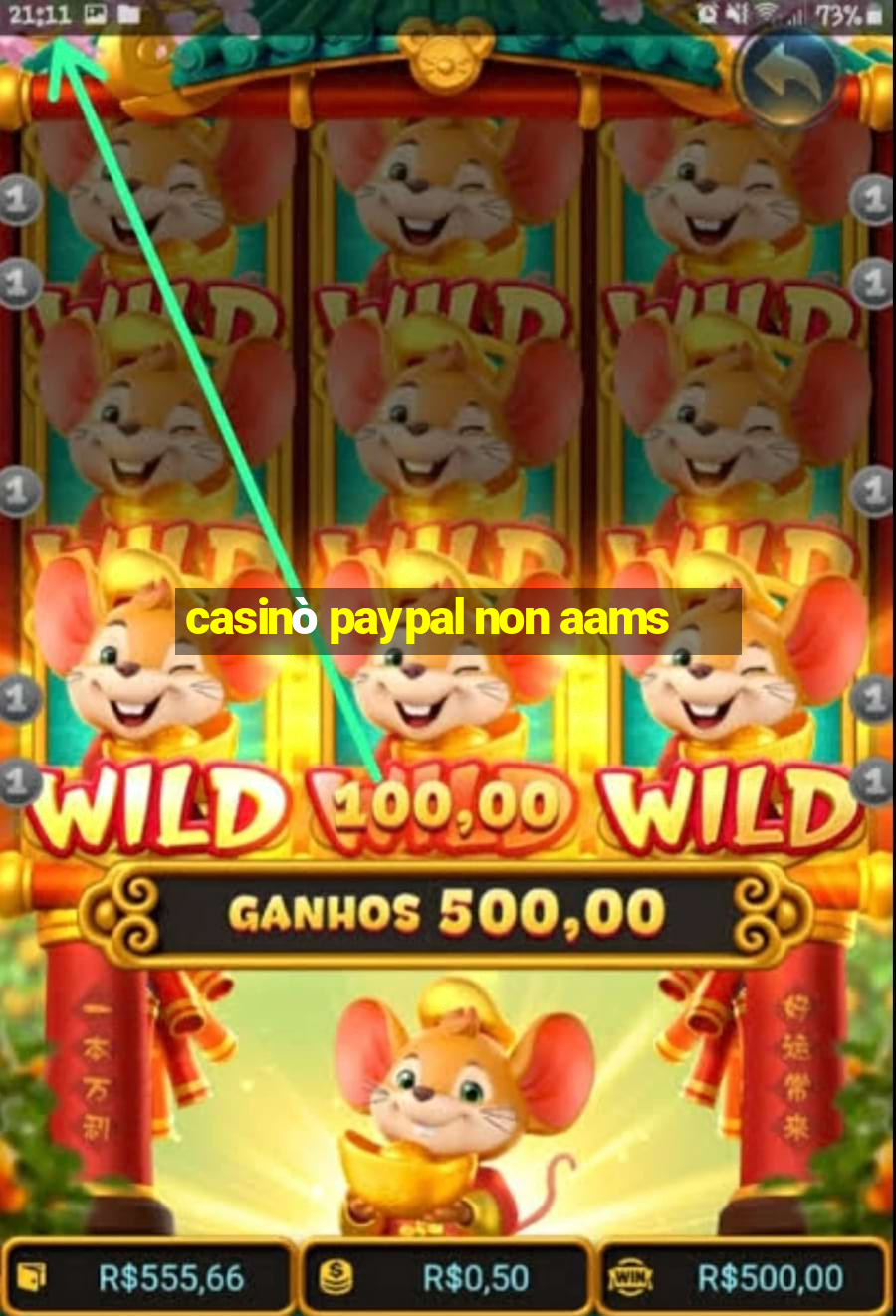 casinò paypal non aams