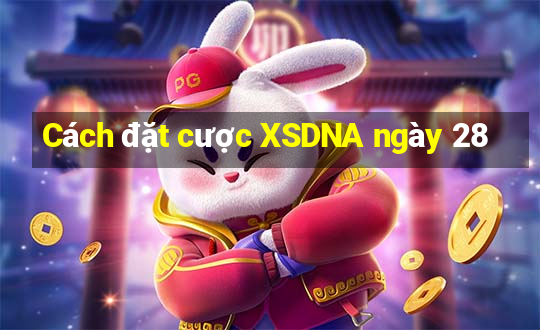 Cách đặt cược XSDNA ngày 28