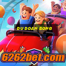 du doan bong