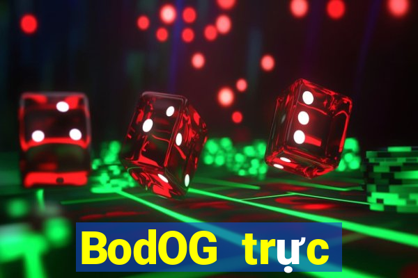 BodOG trực tuyến chó