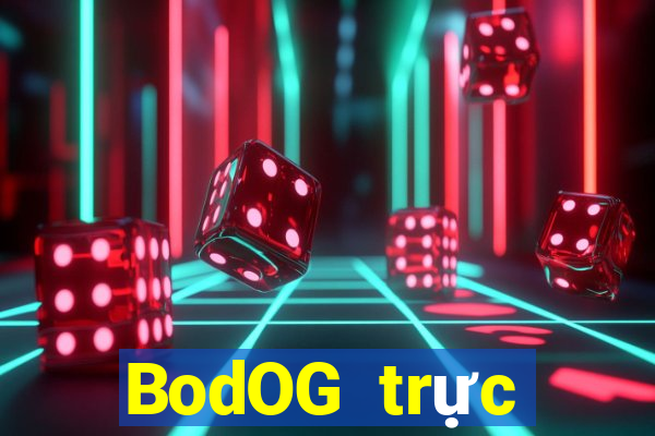 BodOG trực tuyến chó