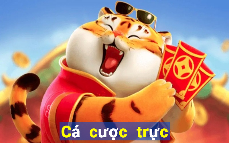 Cá cược trực tuyến pau88