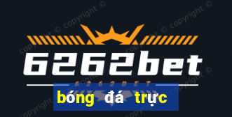 bóng đá trực tiếp bữa nay