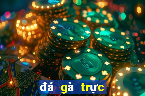 đá gà trực tiếp ngày 24 tháng 09