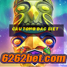 cau tong dac biet